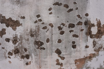 Cement wall background,white cement wall texture