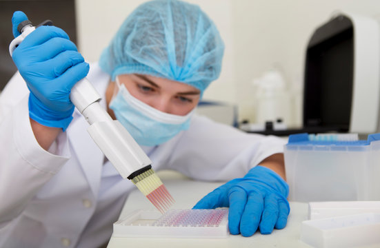 Woman preparing pink samples from pipette for analising on high quality equipment