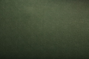 Green skin texture close up as background. In full screen.