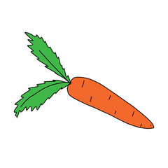 Carrot