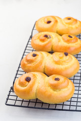 Traditional Swedish and scandinavian Christmas saffron buns Lussekatter on cooling tray, light gray concrete backgtound, vertical