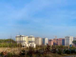 Young pine trees on the background of new buildings. The construction of high-rise buildings among the forest. Concept: city growth, deforestation.