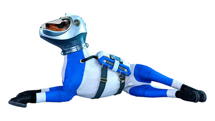 3D Rendering Astronaut Dog on White © photosvac