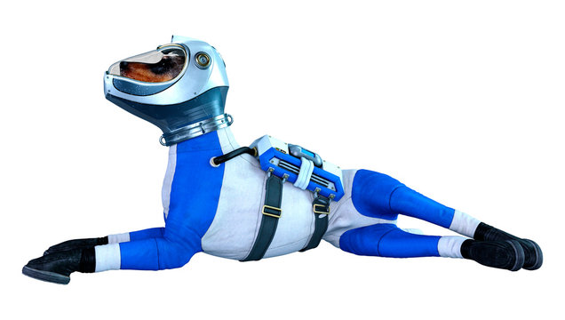 3D Rendering Astronaut Dog on White