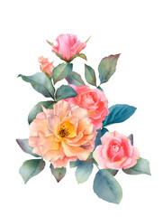 Naklejka na ściany i meble Hand drawn watercolor arrangement with picturesque pink and tea roses, rosebuds and leaves isolated on a white background. Floral botanical illustration for wedding invitations,greeting cards,patterns