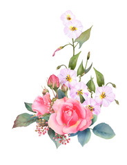 Hand drawn watercolor arrangement with picturesque pink rose, rosebuds, leaves and bindweed branch isolated on a white background.Floral botanical illustration for wedding invitations, cards,patterns