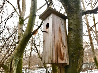 House for birds in the winter.