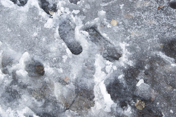 Footprints in snow on a sidewalk covered with snow and ice after the first autumn frosts 