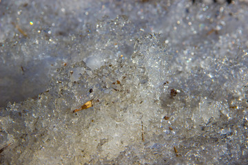 Closeup of a dirty odd-shaped melting snow