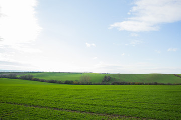 View of vineyards and farms in the Svatoborice region of Moravian Tuscany during a sunny autumn day in the background blue sky full of clouds and rugged wavy landscape full of green color.