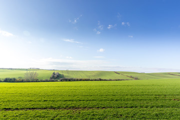 View of vineyards and farms in the Svatoborice region of Moravian Tuscany during a sunny autumn day in the background blue sky full of clouds and rugged wavy landscape full of green color.