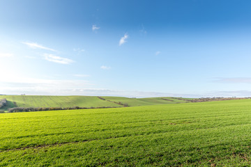 View of vineyards and farms in the Svatoborice region of Moravian Tuscany during a sunny autumn day in the background blue sky full of clouds and rugged wavy landscape full of green color.