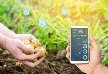 Smartphone in the hands of a farmer. Smart agriculture. Automation and crop quality improvement....