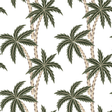 Tropical Hawaiian green palm trees floral seamless pattern white background. Exotic jungle wallpaper.