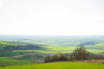 View of vineyards and farms in the Svatoborice region of Moravian Tuscany during a sunny autumn day in the background blue sky full of clouds and rugged wavy landscape full of green color.