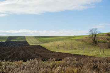 View of vineyards and farms in the Svatoborice region of Moravian Tuscany during a sunny autumn day in the background blue sky full of clouds and rugged wavy landscape full of lines.