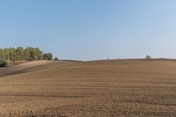 Fototapeta na wymiar View of plowed land after the season in the Moravian Tuscany region's landscape full of ripples overlooking the village in the background during an afternoon sunny day without clouds