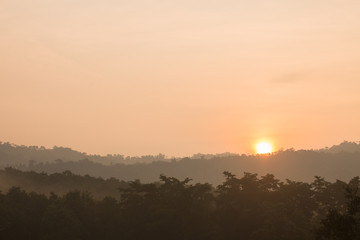 sunrise among trees with a dense fog at Jedkod-Pongkonsao Natural Study in Saraburi Thailand