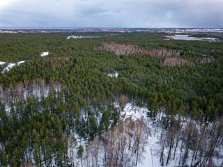 winter forest from above. Drone aerial image of winter trees