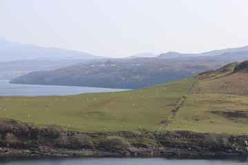 landscape with mountains and lake