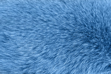 Blue fur background