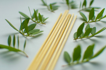 Blurred background of natural materials. Close up at decorative tree with rattan sticks and small green branches at grey background with copy space. Modern style of simplicity and minimalism.