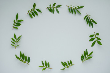 Round frame of green branches and leaves on grey background. Natural flat lay, top view. Modern style of simplicity and minimalism.