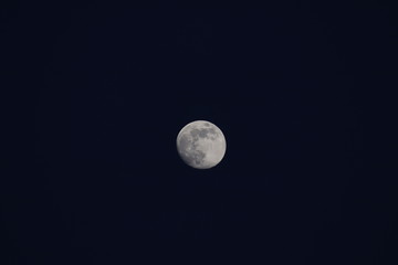 Fototapeta premium moon