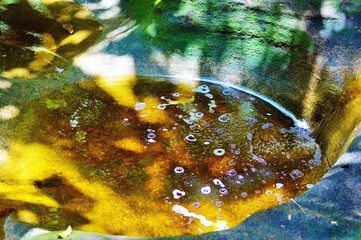 lumi&egrave;re et ombre