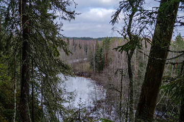 half frozen river in late autumn with trees with no leaves
