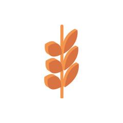 farm wheat harvest agriculture isometric icon