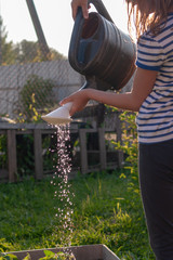 watering can in girl hands in garden