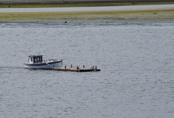 small boat pushing empty supply barge near the shoreline 