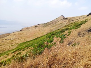 landscape in the mountains of Sahyadri, India © rupesh