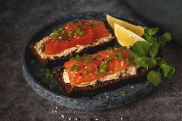 soft cheese and salmon toasts, close-up, top view