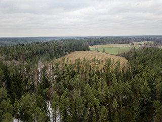winter forest from above. Drone aerial image of winter trees