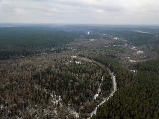 River in winter forest with green trees from above. Aerial drone image of river Gauja in Latvia