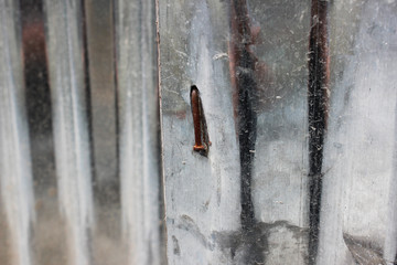 Rusty nail that is nailed onto a zinc plate