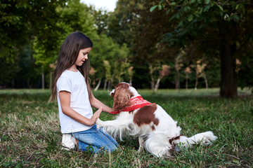 Small brunette girl with Cavalier king charles spaniel, training in park in summer. Girl, wearing blue jeans and white t-shirt, playing with little dog.