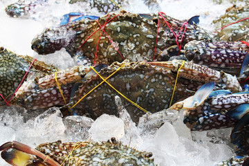 Sea crab soaked in ice placed on the stall for sale