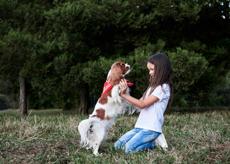 Small brunette girl with Cavalier king charles spaniel, training in park in summer. Girl, wearing blue jeans and white t-shirt, playing with little dog.