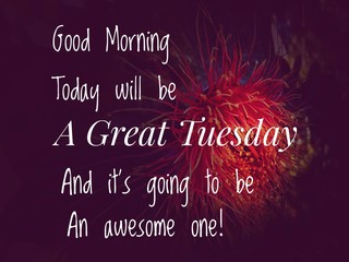 Image with wordings or quotes about tuesday  © Jenn Miranda