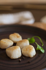 Franch Scallops Macro