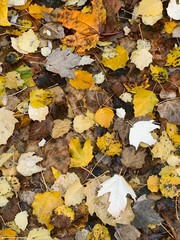 Otoño