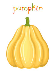 Pear-shaped pumpkin.