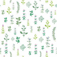 Materiał do szycia Kitchen spice herbs seamless background.