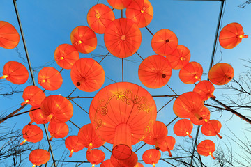Chinese traditional festive lantern