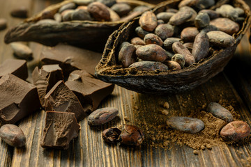 open cocoa fruit lies on wooden table
