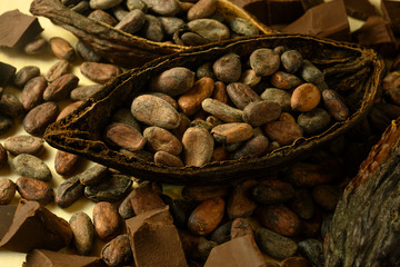 cocoa fruit lies on a wooden table