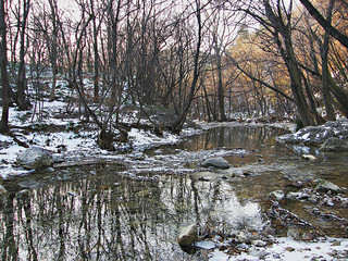 Ruscello in inverno